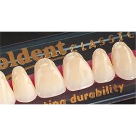 Goldent Classic műfog