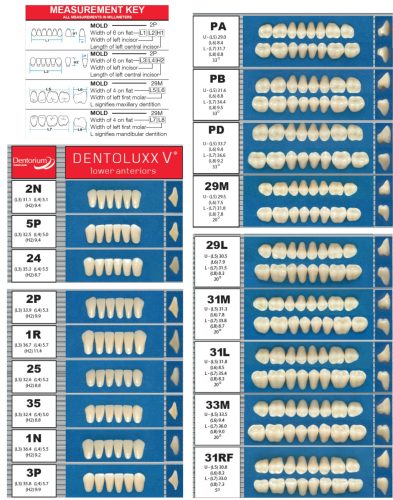 Dentoluxx Premium akrilát műfog ALSÓ RÁGÓ