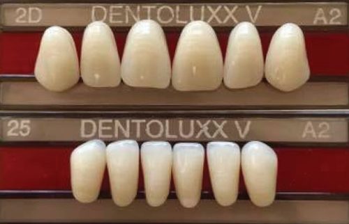 Dentoluxx prémium akrilát fog FELSŐ METSZŐ