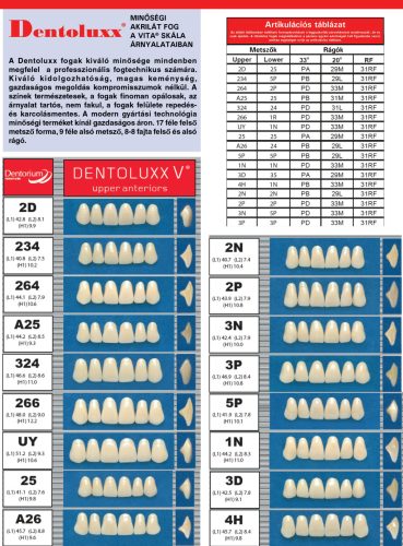 Dentoluxx prémium akrilát fog FELSŐ METSZŐ