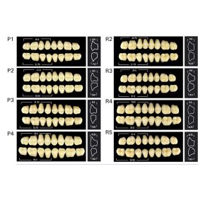  Monarch Superior 3 rétegű akrilát műfog FELSŐ RÁGÓ